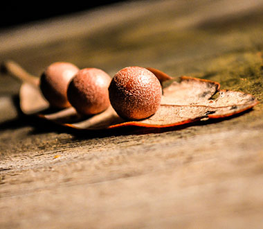 充满希望的短信轰炸免费在线网站