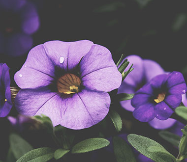 在线电话压力测试